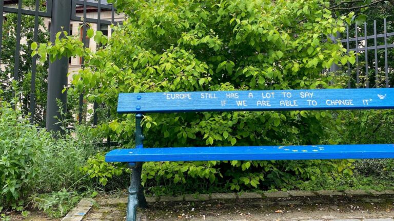 Our fight after the European Elections continues: Mobilising for a Democratic and Social Europe